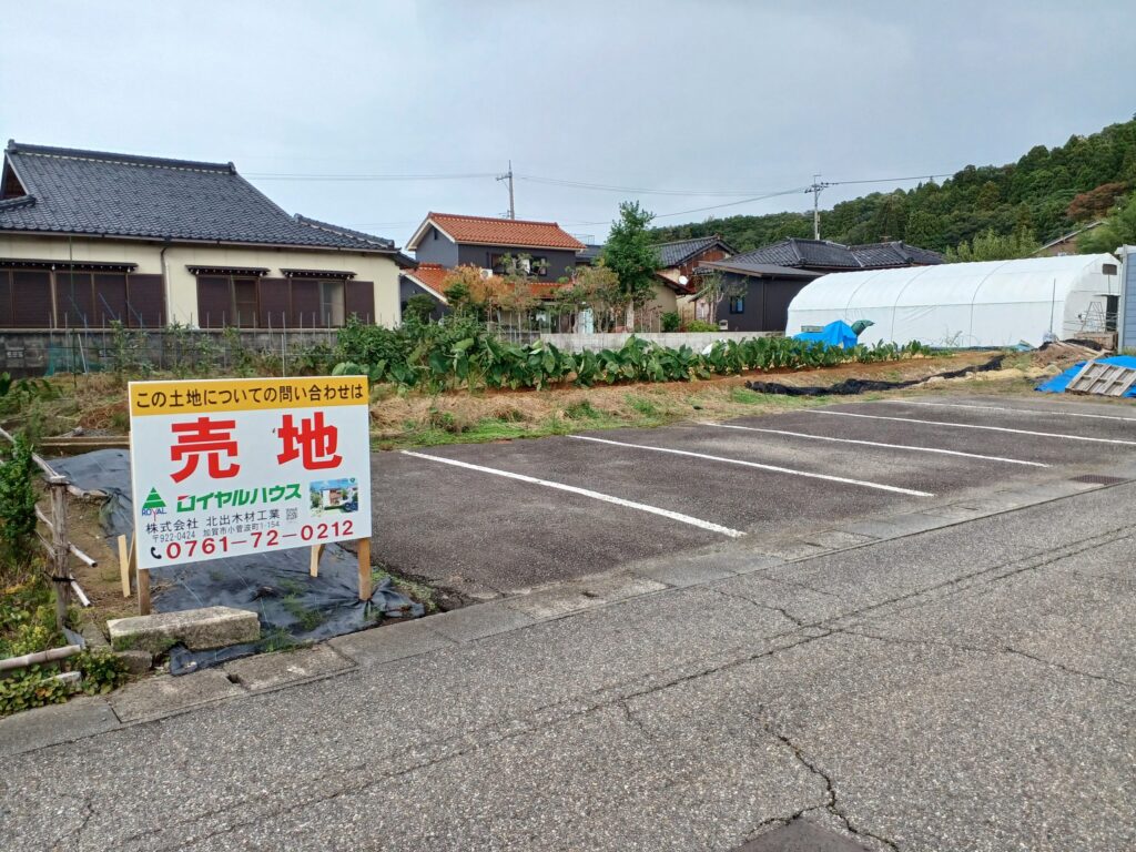 現地写真