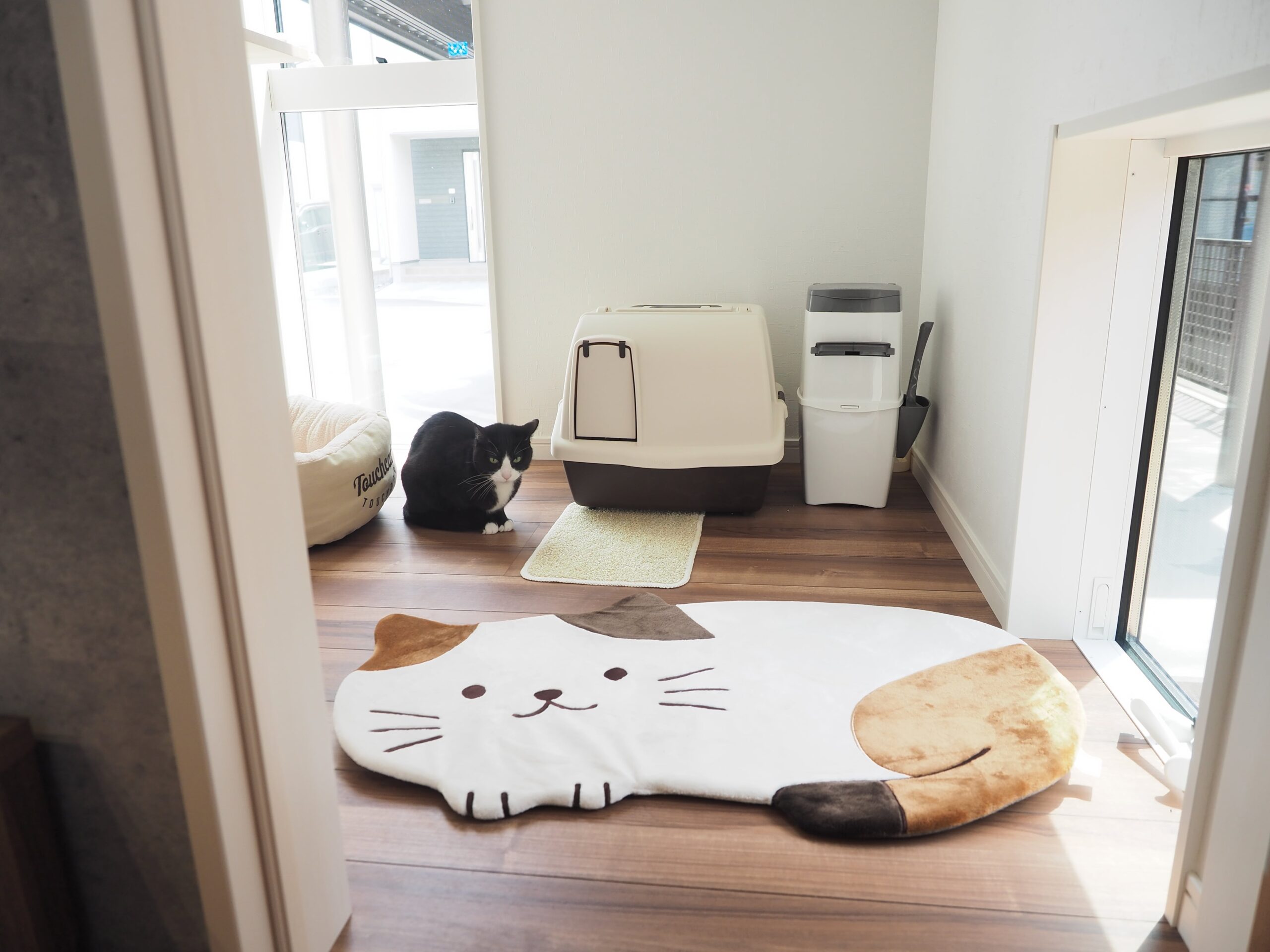 ネコ部屋②
